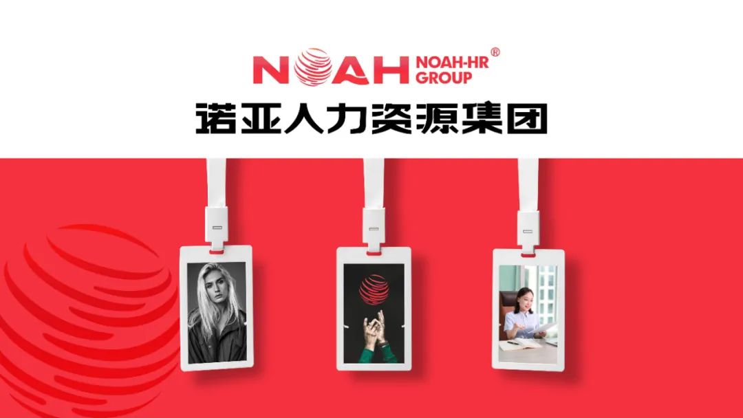 經營產值56.58億，利稅總額1.6億 | 諾亞集團2024年企業發展年報新鮮出爐